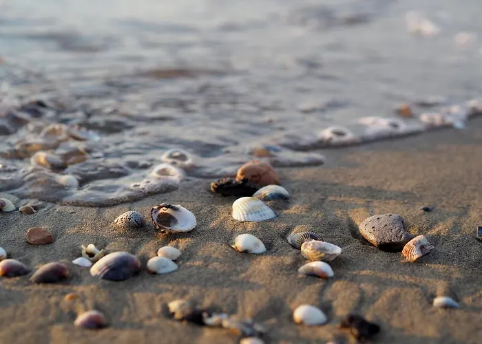 Enjoy The View Of The Garden From Our Balcony *