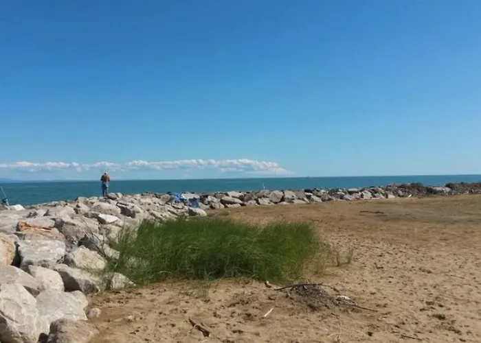 Enjoy The View Of The Garden From Our Balcony
